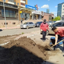 Зам, тээврийн хөгжлийн яамны дэргэдэх Залуучуудын хөгжлийн зөвлөлөөс зүлэг тарих ажлыг санаачлан зохион байгууллаа